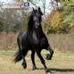 Ind�stria empresa f�brica para nutri��o animal